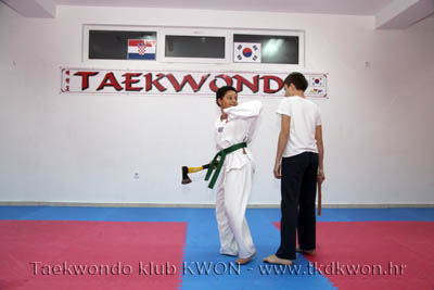 taekwondo kwon training